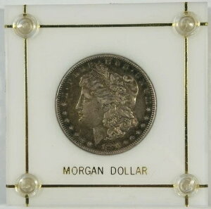 1890N-CC K 1hd ɂ߂ėǍDȏ vX`bNLs^z_[t