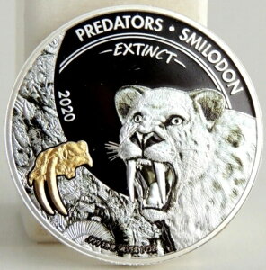 2020�N�R���S��� �X�~���h�� ��j����̓��� �����b�L ��^�l�R�ȕߐH����