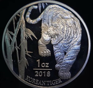 2018N ؍Y ^CK[rbOLbg 1IX 999 t@CVo[ A[go[ EhRC C3038