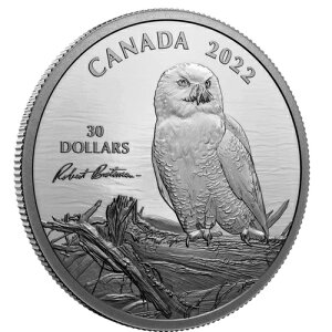 ???? Ji_ 30 h 2 IX  50mm RCA؂ɕԃVtNEA2022 N