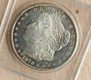 1878N S K v[t̂悤ȃtB[h F