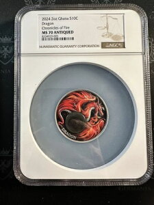 2024N K[i NjNY Iu t@CA hS 2IX Vo[ AeB[N UHR NGC MS70 AeB[N