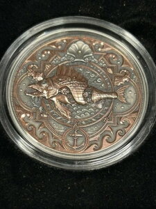 2022�N �j�E�G 5�h�� �X�`�[���p���N ���^���t�B�b�V���A�A���e�B�[�N �n�C�����[�t 2�I���X �V���o�[�A��/COA