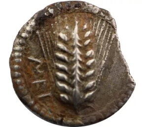 JjA - ^|e mXAXe[^[ (IO 530 ` 510 N)