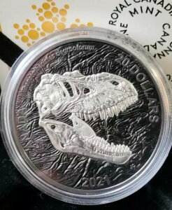 2021NJi_ F_̎_ WE 1IX .9999 