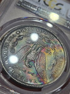 1890�N P �����K�� �_���[ PCGS ���� ���ɔ������g�[�� ���� �I�[���h ���C�g �N���[�j���O�ς�