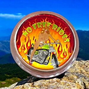 2023年 アイ・コインディ・エナメル「スパイシーシルバー・ノー・フリーライド」ハンドエナメル加工 .999 ファインバー