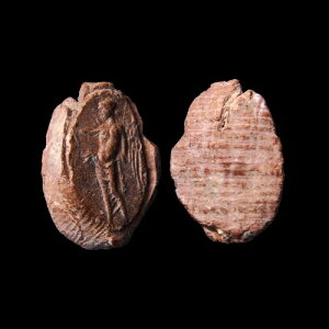 非常に珍しいセレウコス王国。紀元前200-100年頃。単面テラコッタ粘土印章(ブルラ)