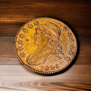 1829/7 50�Z���g �L���b�v�h�o�X�g �V���o�[ �n�[�t�h�� ���[�W���^�[ DDR