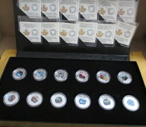 2019 RCM Fine Silver 12 x 3�h���R�C���Z�b�g - �J�i�_�̊y�������Ղ���j��