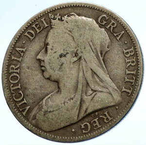 1898N CMX O[gue CMX BNgA 1/2 n[tNE  i104189