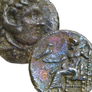 ANT_[剤BUsiIO321NjBeBXǁBwNX/[EX唻