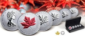 2025N Ji_ [v[t tbO .9999  5 tNVi v[t Zbg