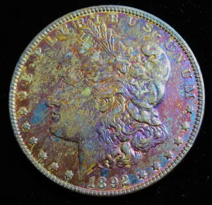 1892�N�����K���E�_���[�B���i�ʁI�f���炵���F���I�����~���g����I