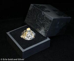 2023 $50 oc 5 IX 3D AeB[N Vo[ okAcΎRRC OGP