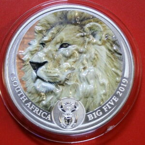 ��A�t���J 5�G�b�W 2019 �V���o�[ 1�I���X �u���C�I���v �r�b�O�t�@�C�u F4086 �J���[�~���g