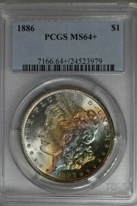 1886N $1 PCGS MS64+AK݁A~XEoeBEwbhEhA$1