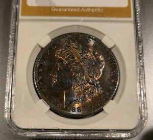 1886�N�� S �����K���E�_���[�I�����A�ȃf���A���g�[���̃����X�^�[�I�ڂ��������͖��ځINR #B1160