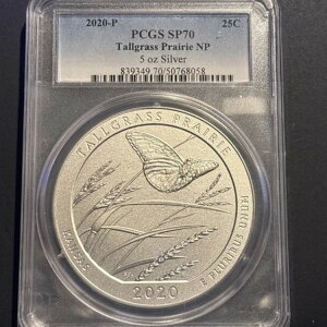 2020-P 5IX AJ U r[eBt g[OX v[[ NP PCGS SP 70 *334 POP