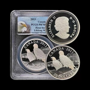 Ji_B2013NA20hA - PCGS PR70 - gbv|bv??C[OXAU̗F