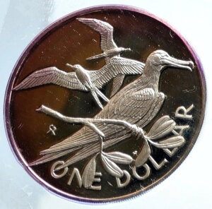 1973N CMX̃@[W p GUxX2 BIRD v[t i103788