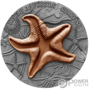 STARFISH World of Fossils 2�I���X �V���o�[�R�C�� 2�h�� �j�E�G 2019