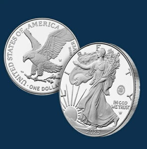 y\̔zAJR250NLO AJC[O 1IX Vo[