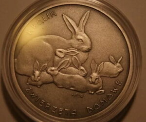 Rabbit 40 Kaninchen Lapin Conejo ������ �\�q �{�����|�y�{ �J�j�� �V���o�[