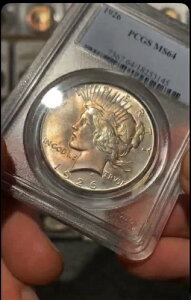 1925N s[X Vo[ h PCGS M64B󏭂ȃg[̃s[XBC{[J[