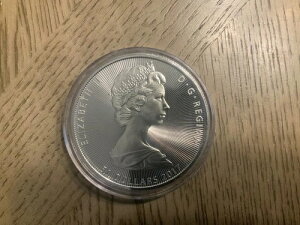 2017N 50h Ji_ U O[g - iCAK̑ 10IX  vX`bNJvZ