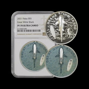 pIB2021NA5hA - NGC PF70 - gbv|bv?? zzWU 