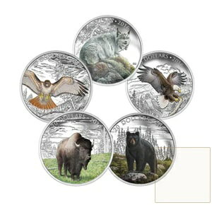 2016N 20h }WFXeBbN Aj}Y II - RC5Zbg + fBXvCP[X