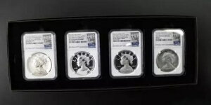 2017 PDSW 225NLO Vo[ oeB _4Zbg NGC Rev. PF / SP / PF / MS 70