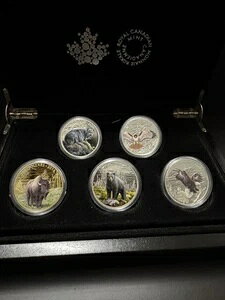 2016N 20h }WFXeBbN Aj}Y II - RC5Zbg + fBXvCP[X