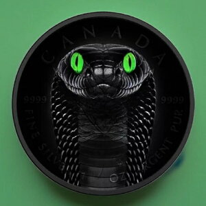 ????COA#1 Ji_ ubNRu 1IX Vo[[v[t BLK v`iRC O[_[NACY 2024