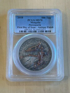 2018 500^O S  1IX  PCGS MS 70 s FDOI