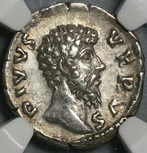 169 NGC Ch XF VEX FX [}̎̃V fiEX AEEX (24073101C)