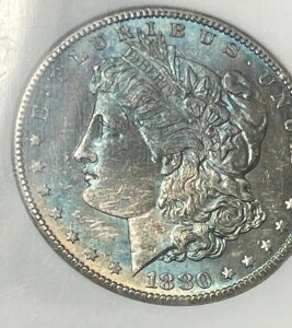 1880-S NGC MS64 ?? �u���[�\�ʃg�[�� ?? �����K�����