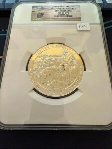 �e�f�B ���[�Y�x���g 5 �I���X ATB �V���o�[ NGC MS69 DPL - �~���[�d�グ - TOP POP! 129 �ؖ���!