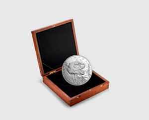 2015N 125h OEON[K[ - RC - CJifBA~g