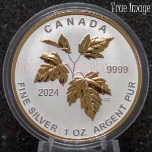 2024NJi_ 5Zbg tNVi SML RCZbg H̔ v[t  [v[t