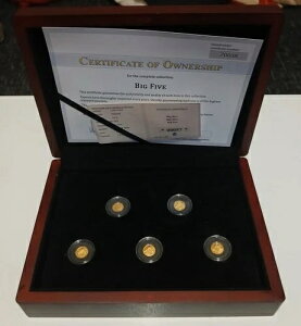 BIG FIVE. / v[t{bNXZbg̋݁B