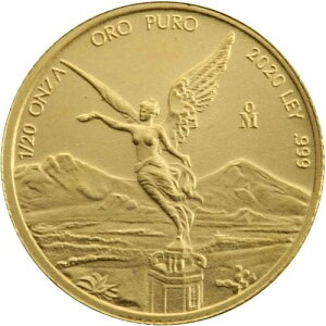 2020N 1/20IX LVR x^bh (BU)