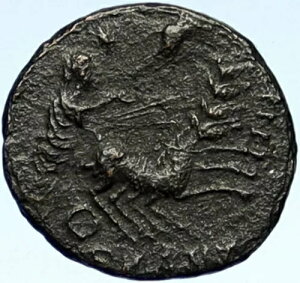 RX^eBkX1 ̑Ȑ V̐_̎ Ñネ[}RC i101030