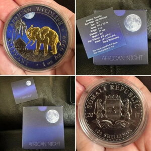 �\�}���A�]�E �A�t���J���i�C�g 2017 1�I���X �R�C�� �J���[ �u���b�N ���e�j�E�� 24K �S�[���h