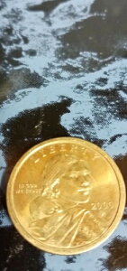 2000 P TJKEBA 1h čoeBS[hJ[RC tBftBA