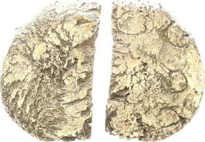 Pgl / KAl sNglX GNgEX^ef IO80-60N 98153