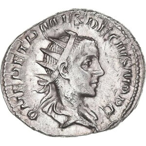 [#1170510] �R�C���A�w���j�E�X �G�g���X�N�X�A�A���g�j�j�A�k�X�A244-249�A���[�}�A�I�[�X�g�����A�A�r���A����