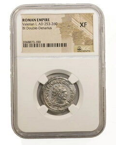 NGC XF �A���g�j�j�A�k�X�E�I�u�E���@�����A�k�X1�� AD253-260 NGC�A���V�F���g �_�u���f�i���E�X