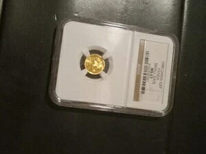 1989N  1/20IX  p_ 5 NGC MS-69 X[fCg
